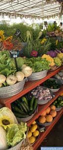 Flora Farms