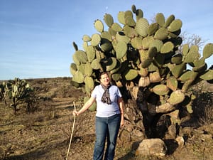 Dolores Hidalgo Nopales Cactus